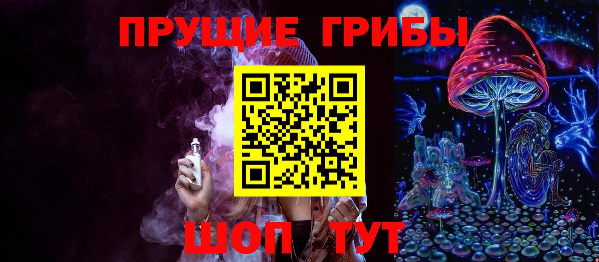 Псилоцибиновые грибы Psilocybe  Вход с VPN  Биробиджан 